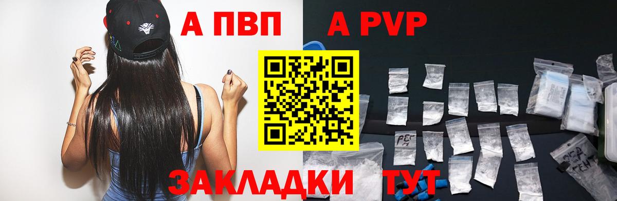 A-PVP СК КРИС Урус-Мартан