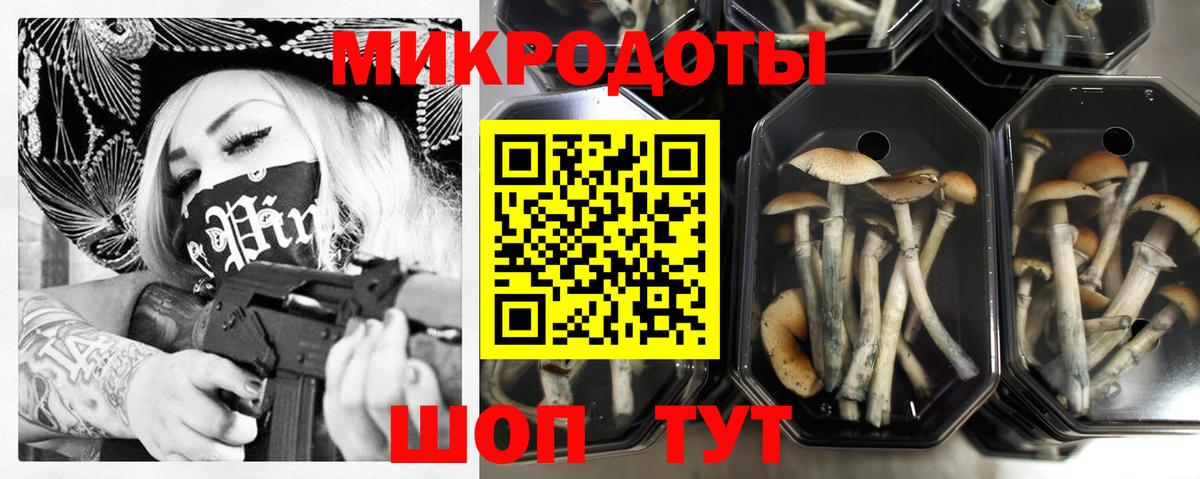 Урус-Мартан  где можно купить   Вход с VPN  Галлюциногенные грибы Psilocybine cubensis 